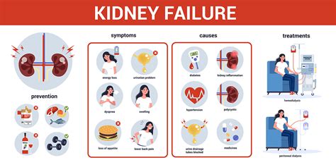 Kidney Cancer: Symptoms, Diagnosis, and Treatment