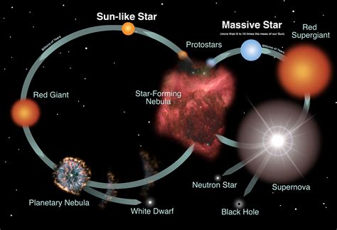 Life Cycle Of A Star Flow Diagram Stages Nebula Stellar Gian