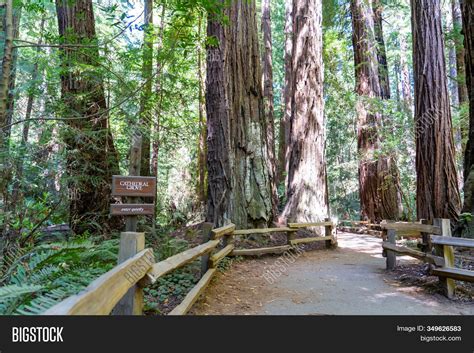 Hiking Trails Through Image & Photo (Free Trial) | Bigstock