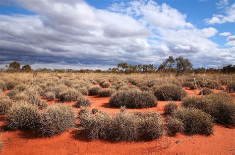 The Great Basin Desert - WorldAtlas