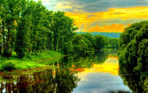 Download Reflection Green Tree Nature River HD Wallpaper