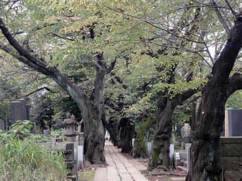 Yanaka, Tokyo