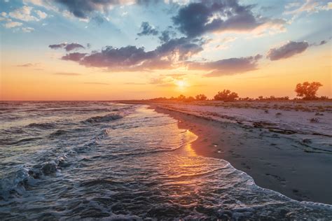 Kherson Region. Uninhabited Island, Pink Lakes, Wild Nature