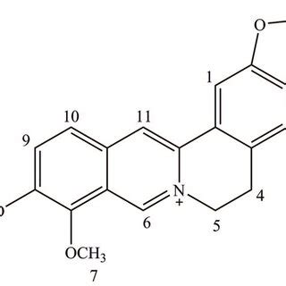 The structure of berberine. | Download Scientific Diagram