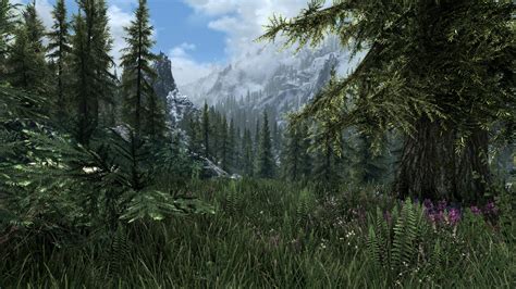 Cathedral Landscapes at Skyrim Special Edition Nexus - Mods and Community