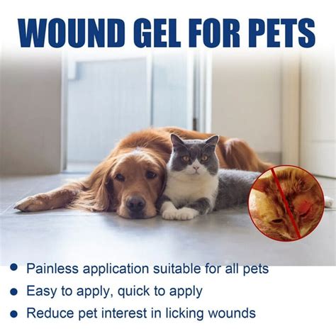 Pet Wound Care Gel Wound and Skin Care for Cat and Dog Bites Fights ...