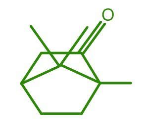 Camphor Formula - Structure, Properties, Uses, Sample Questions