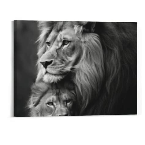 FLORID Lion and Lioness Hug Poster Black and White Animal Lion 20x16in ...