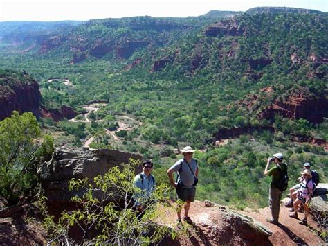 8 of the Best Austin Hiking Trails, TX, SA - Flavorverse