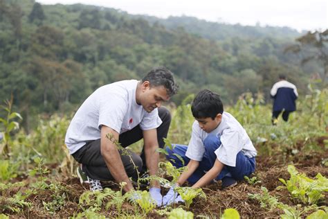 Tree Planting – October 2018, Kereita Forest, Nairobi • BAPS Charities