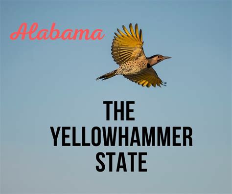 Alabama State Nickname – Yellowhammer State – 50states