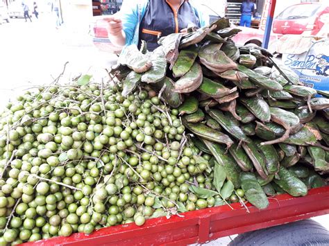 Ultimate Guide to Fruits and Juices of Colombia - with 32 Stunning Pictures ~ DownshiftingPRO