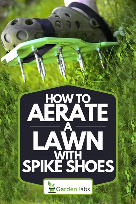 How To Aerate A Lawn With Spike Shoes