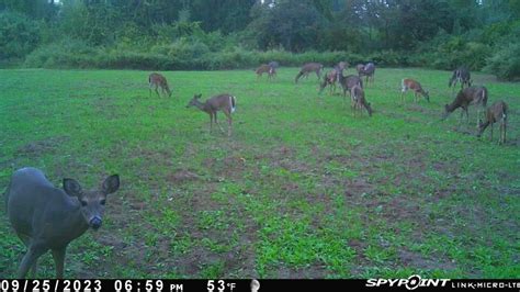 Legacy -The 2023 Deer Season- - Page 3 - Big / Small Game - Lake ...