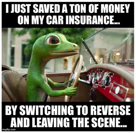 Funny Memes About Car Insurance | Funny Memes Fun