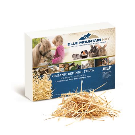 Straw Bedding For Rabbits: The Key Facts | Blue Mountain Hay