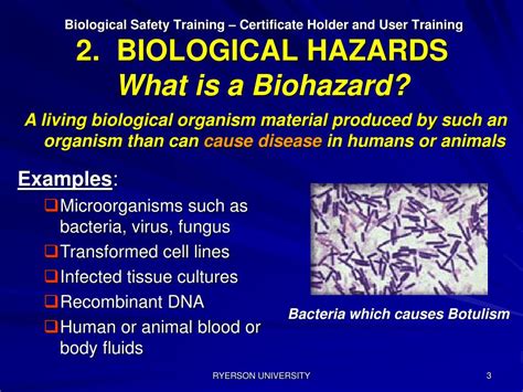 PPT - 2. BIOLOGICAL HAZARDS PowerPoint Presentation, free download - ID ...