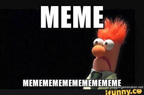 Beaker muppet Memes