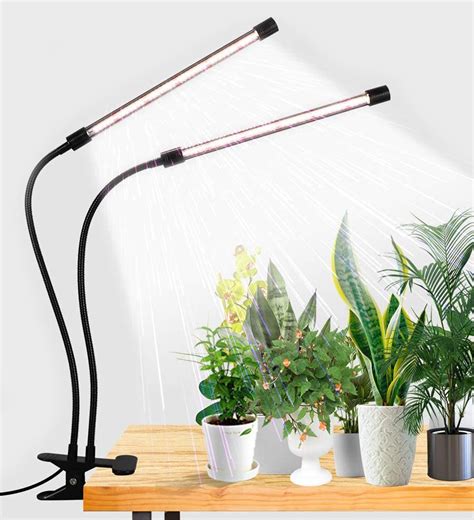 The Best Grow Lights for Indoor Plants | The Family Handyman