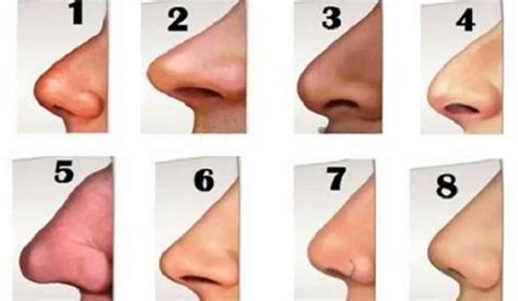 Female Chart Nose Types