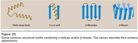 Protein Secondary Structure | Read Chemistry