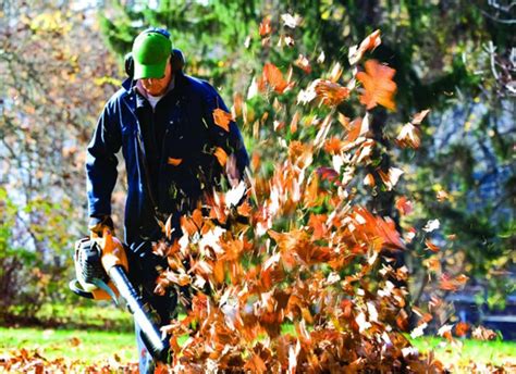 The 10 Best Fall Clean Up Services Near Me (with Free Quotes)