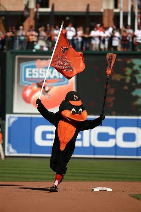 Baltimore Orioles, Mascot, Sports Jersey, Baseball Cards