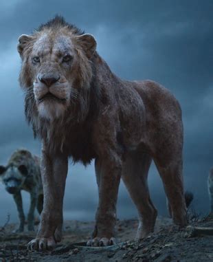 Scar | The Lion King (2019 film) Wiki | Fandom