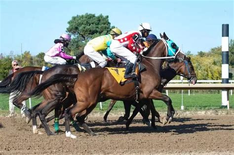 The role of jockeys in horse racing: Challenges, training, and race outcome