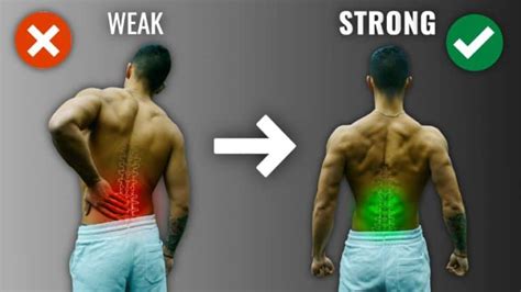 The Best Lower Back Exercises To Relieve Lower Back Pain (10 Studies)