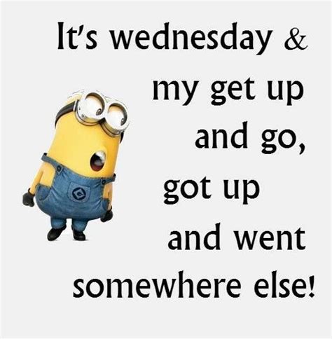 Funny wednesday quotes, Happy wednesday quotes, Wednesday quotes