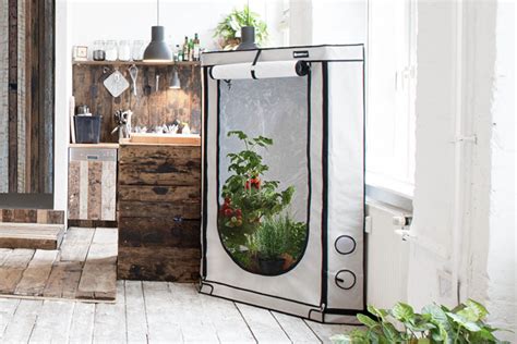 11 reasons to get an indoor greenhouse