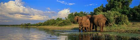 South Africa: Cape Town to Kruger National Park | EF Go Ahead Tours