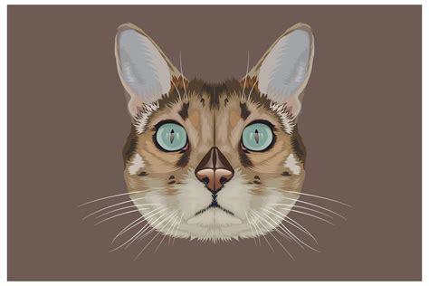 Realistic cat head hand drawing 1268377 Vector Art at Vecteezy