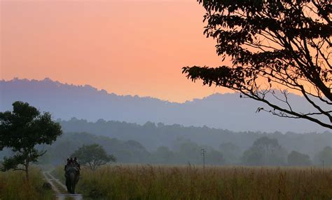 Corbett National Park - The Complete Travel Guide