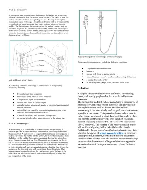 (PDF) What is a Cystoscopy - DOKUMEN.TIPS