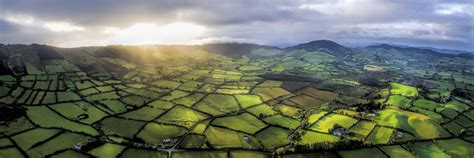 Cost of living in Ireland | Expat Arrivals