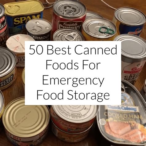 50 Best Canned Foods For Emergency Food Storage