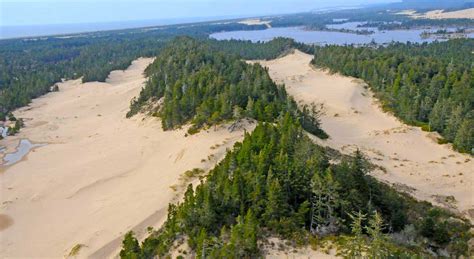 Capricious Cogitations: Oregon Dunes