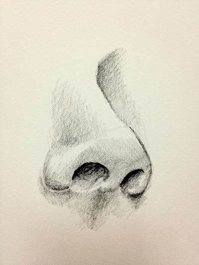 Nose Drawing Reference Step By Step Drawing noses realistically ...