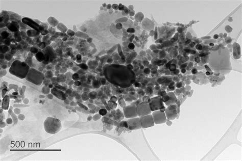 Microscopic fossils record ancient climate conditions