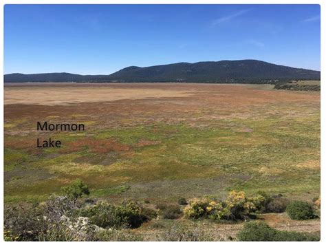 Droughty Mormon Lake, near Flagstaff, Arizona | AZGS