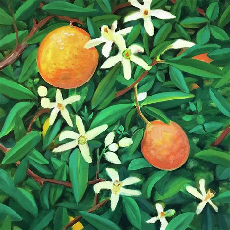 Blooming Orange Tree Painting by Laura Dozor - Pixels