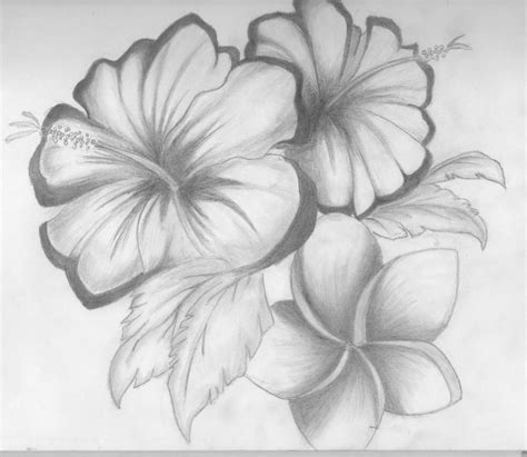 Easy Pencil Shading Drawings Of Flowers - pencildrawing2019