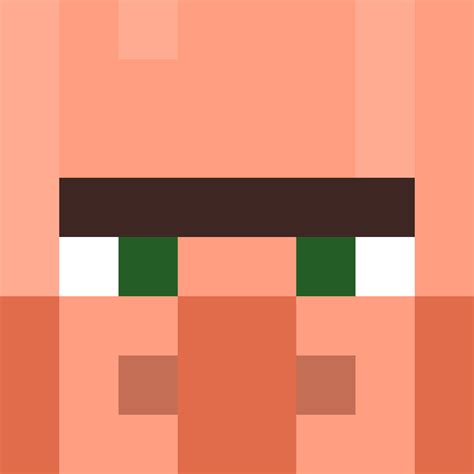 Minecraft Villager Face