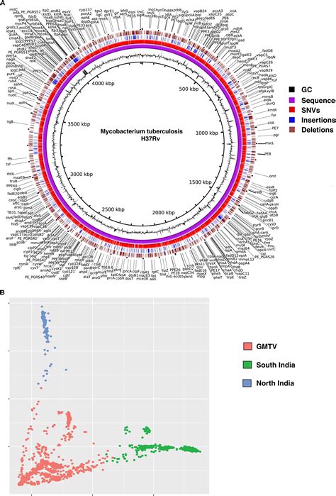 Human Genome Map