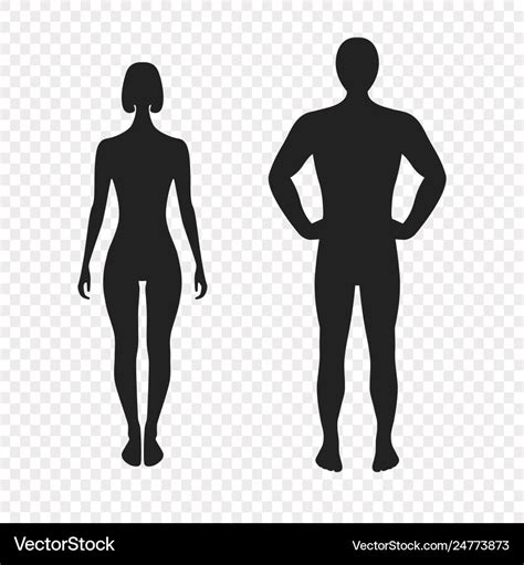 Human silhouettes full face Royalty Free Vector Image