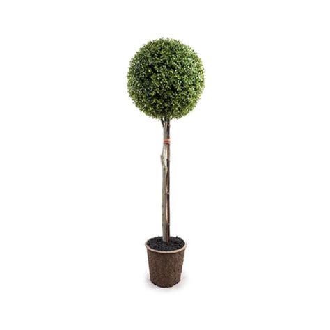 Enduraleaf 36" Faux Boxwood Ball Topiary | AuthenTEAK