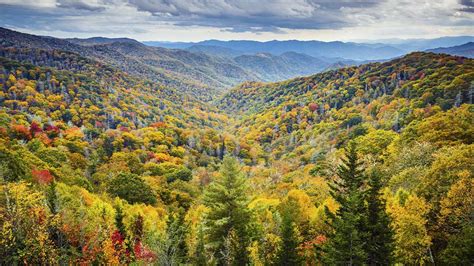 Smoky Mountains Fall: 2023 Festivals and Foliage Guide