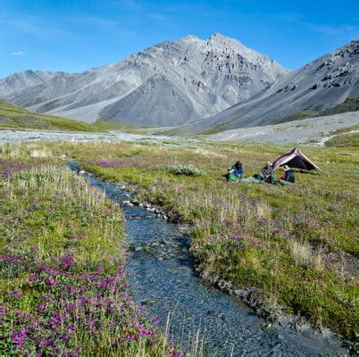 Arctic National Wildlife Refuge | Arctic Wild